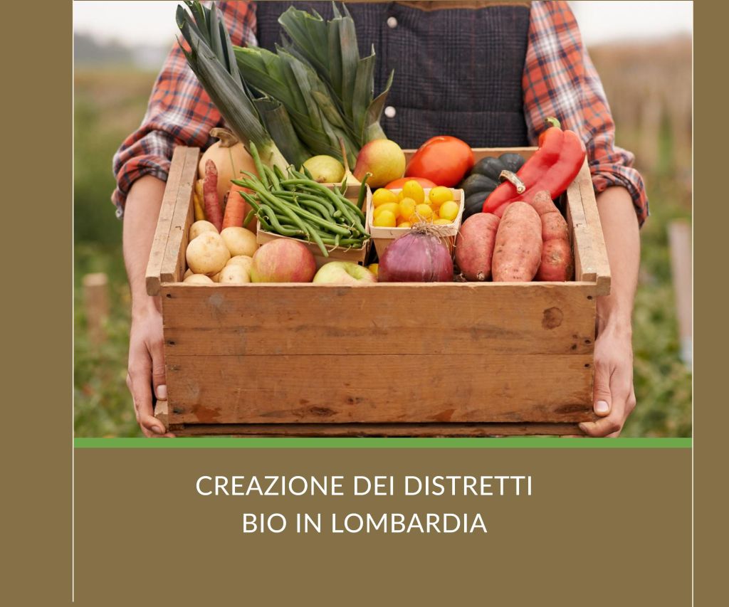 image cover media
