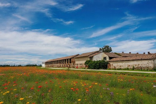 Lombardia, parere negativo a due impianti agrivolt...