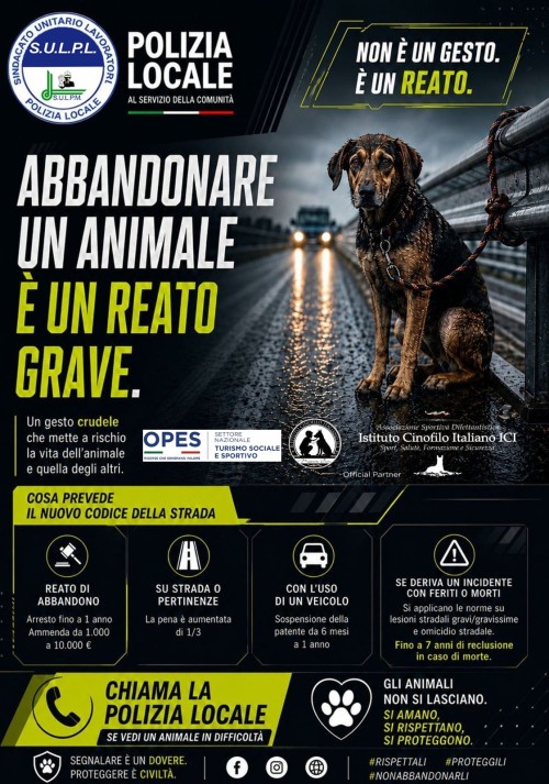 ABBANDONARE UN CANE NON È UNA SCELTA. È UN REATO...